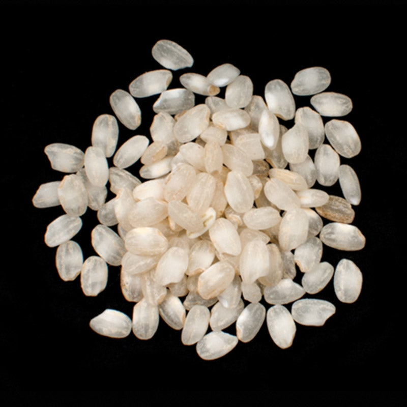 Calasparra Rice (Arroz de Calasparra)