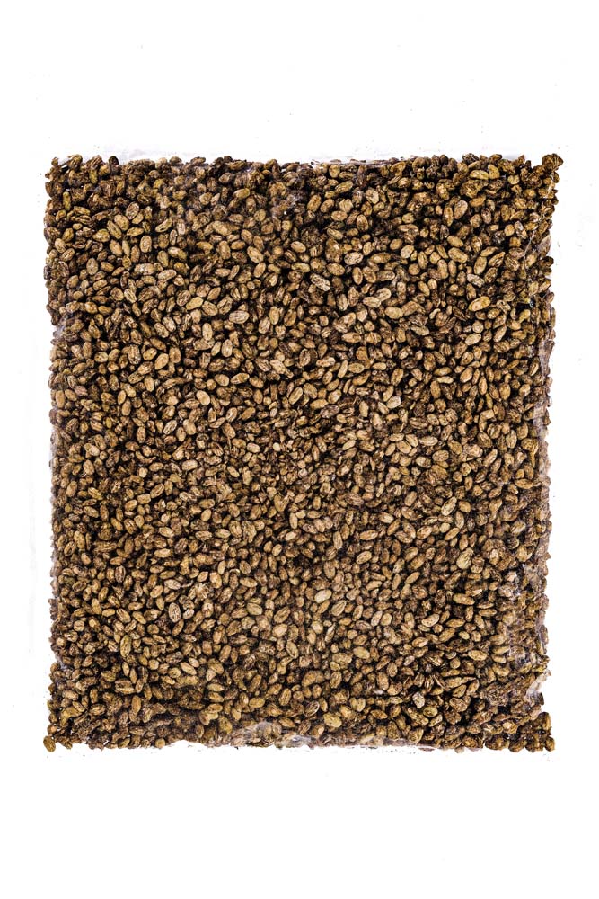 Red Barley Koji (Wheat Free, Dairy Free), Kosher, Organic