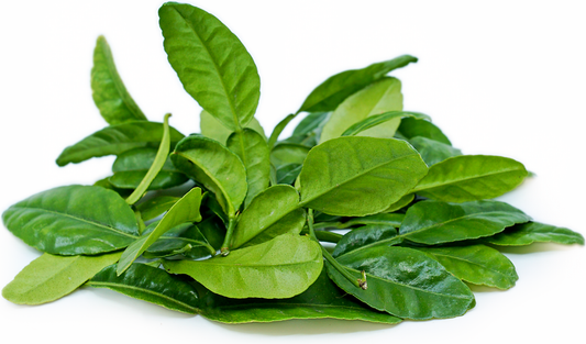 Kaffir Lime Leaves, Fresh (Biodynamic) FROZEN LOCAL DELIVERY ONLY