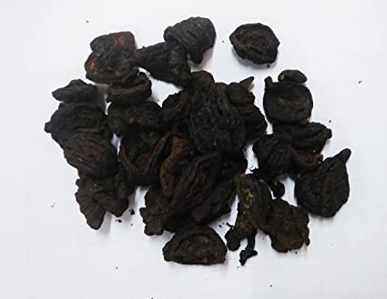 garcinia cambogia plant seeds for sale Garcinia Cambogia, Fruit, Dry – Kalustyan's