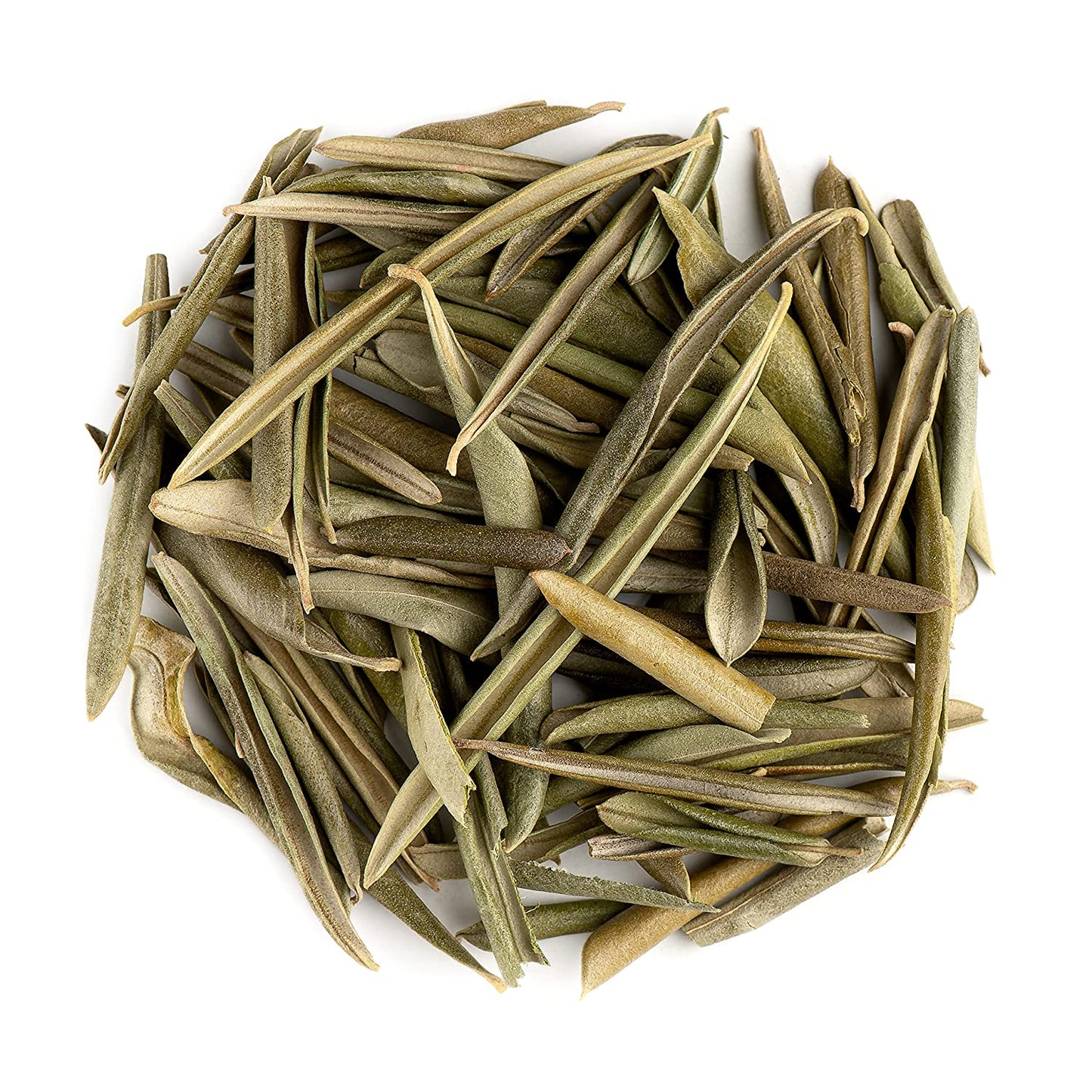 Olive Leaf (olea europaea) Cut and Shifted