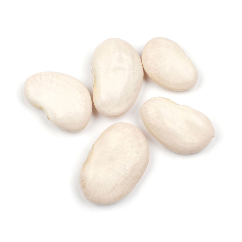 Lima Bean (Butter Bean), Large