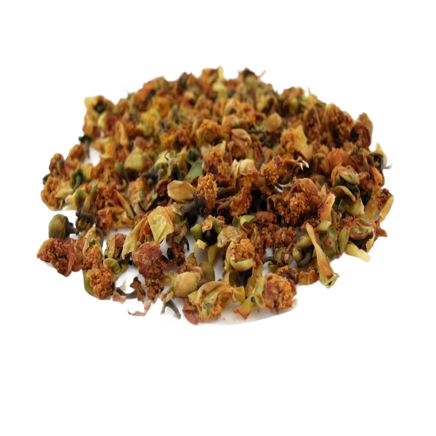 Camellia Flowers / Tea Flowers, (Camellia sinensis)