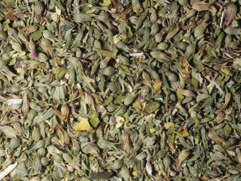 Catnip Leaf & Flowers (Nepeta cataria)