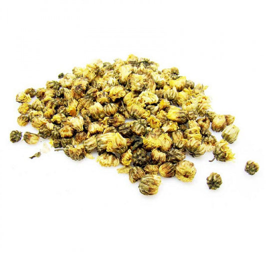 Chrysanthemum Flower (Chrysanthemum morifolium)