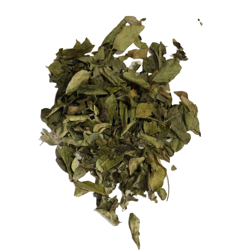 Curry Leaves (Curry / Kadi Patta), Freshly Dried (Murraya koenigii)