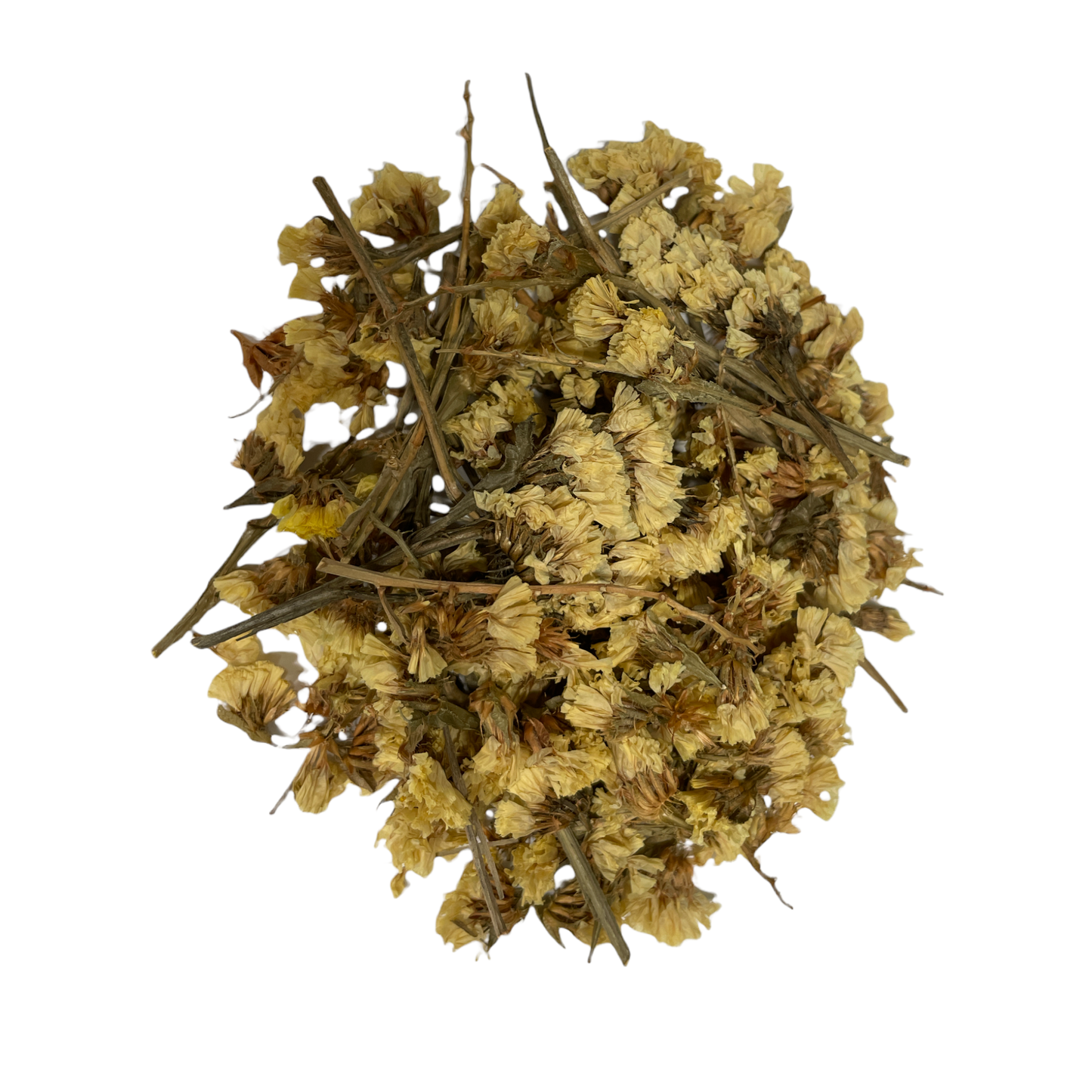 Evening Primrose Flowers (Oenothera Biennis)