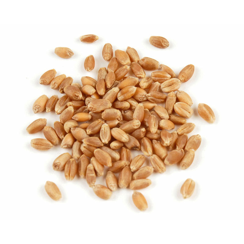 Wheat Berries, Hard Red