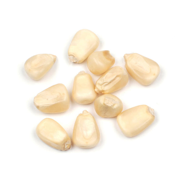 White Corn Kernels (Not Treated with Lime)