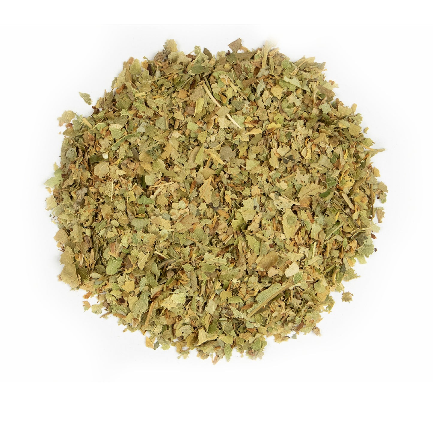 Linden Leaf and Flowers (Tilia argentum), Cut