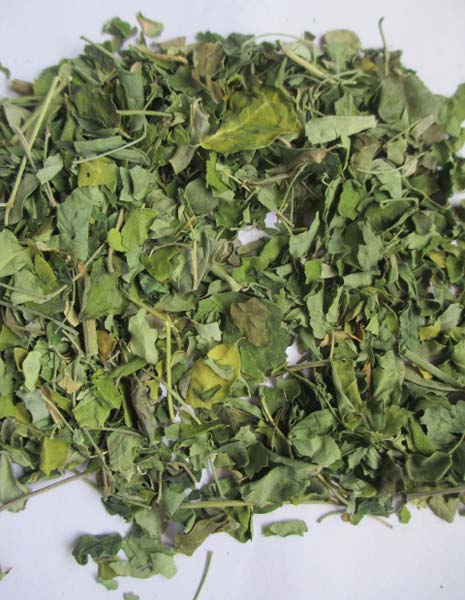 Moringa Leaf, Dry Organic