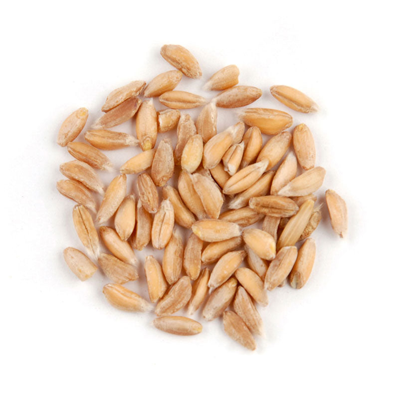 Farro (Emmer Faroo) Flour, Organic