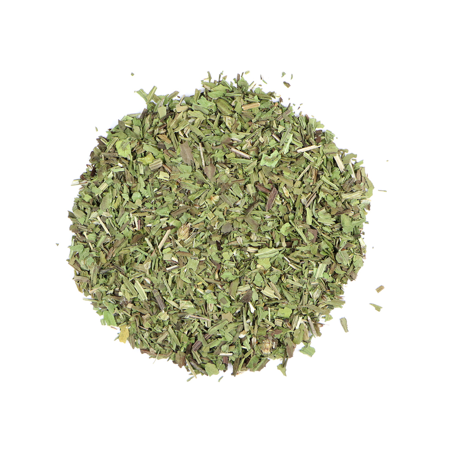 Plantain Leaf (Plantago major)