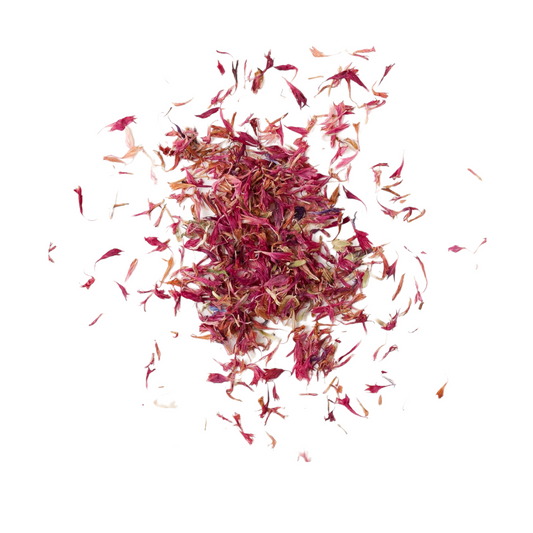 Cornflower Petals Pink (Centaurea cyanus)