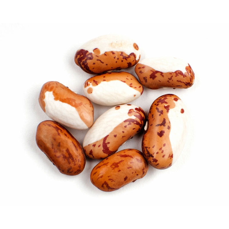 Snow Cap Bean