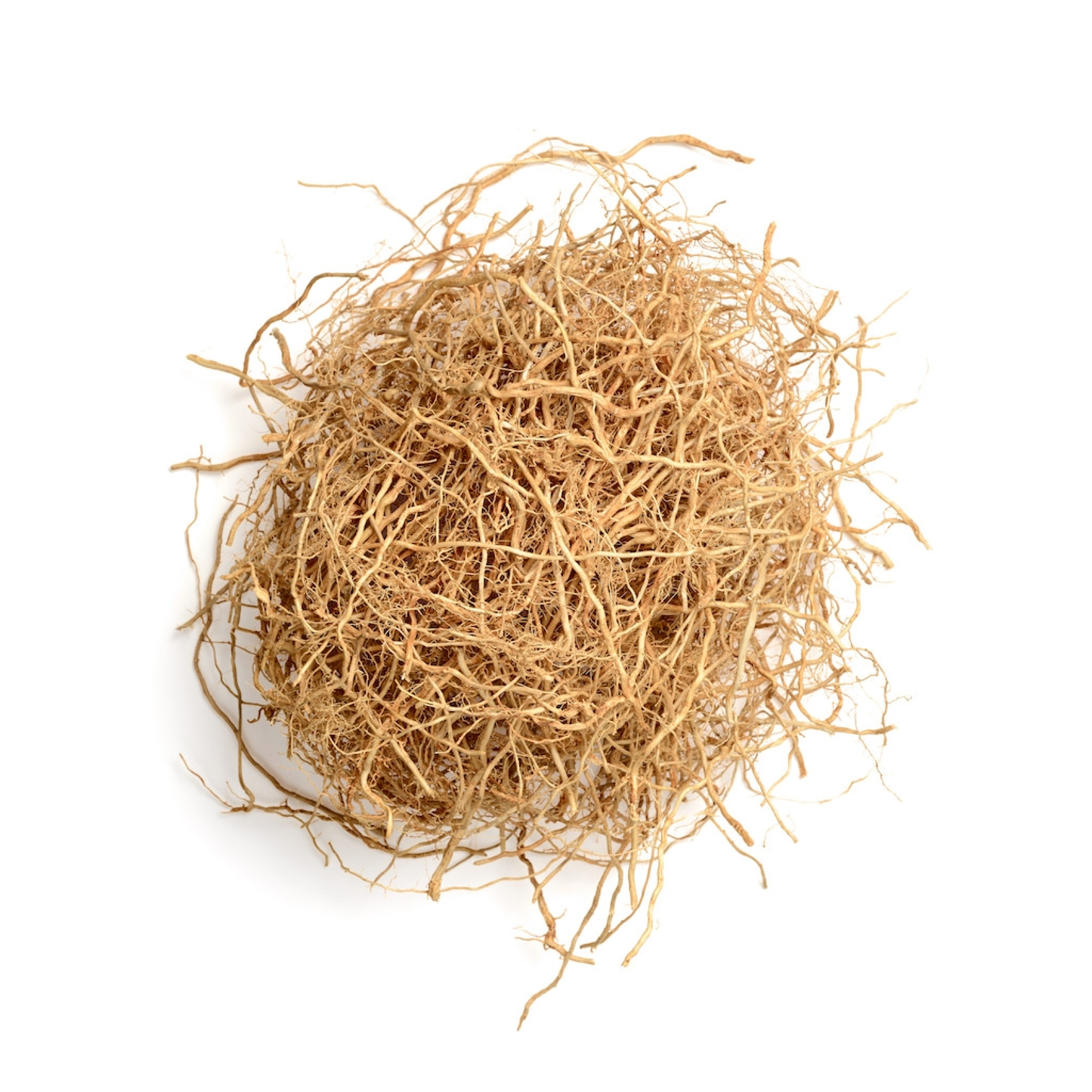 Vetivert Root (Vetiveria zizanioides)