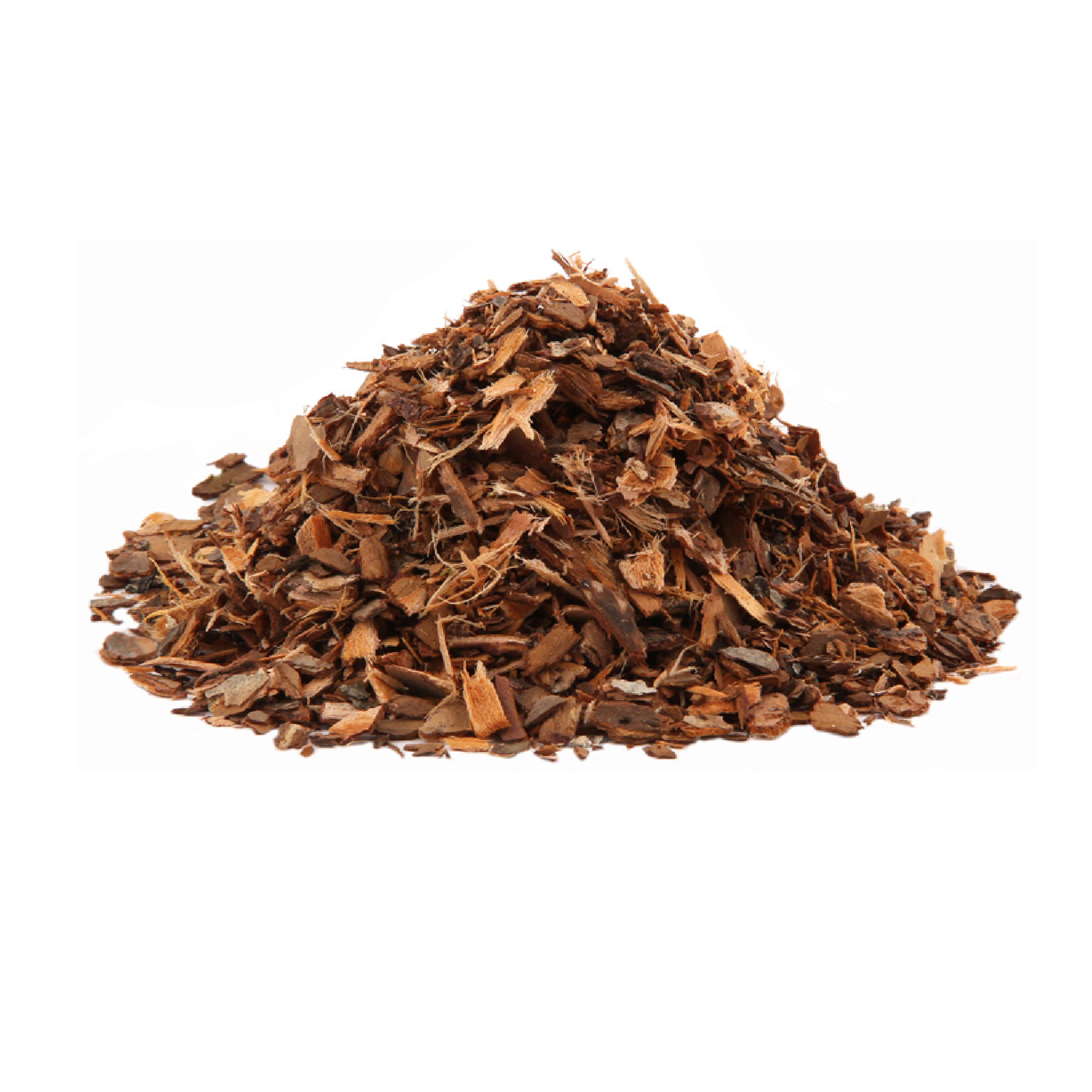 Wild Plum Bark (Prunus americana)