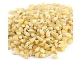 Baby White Popcorn