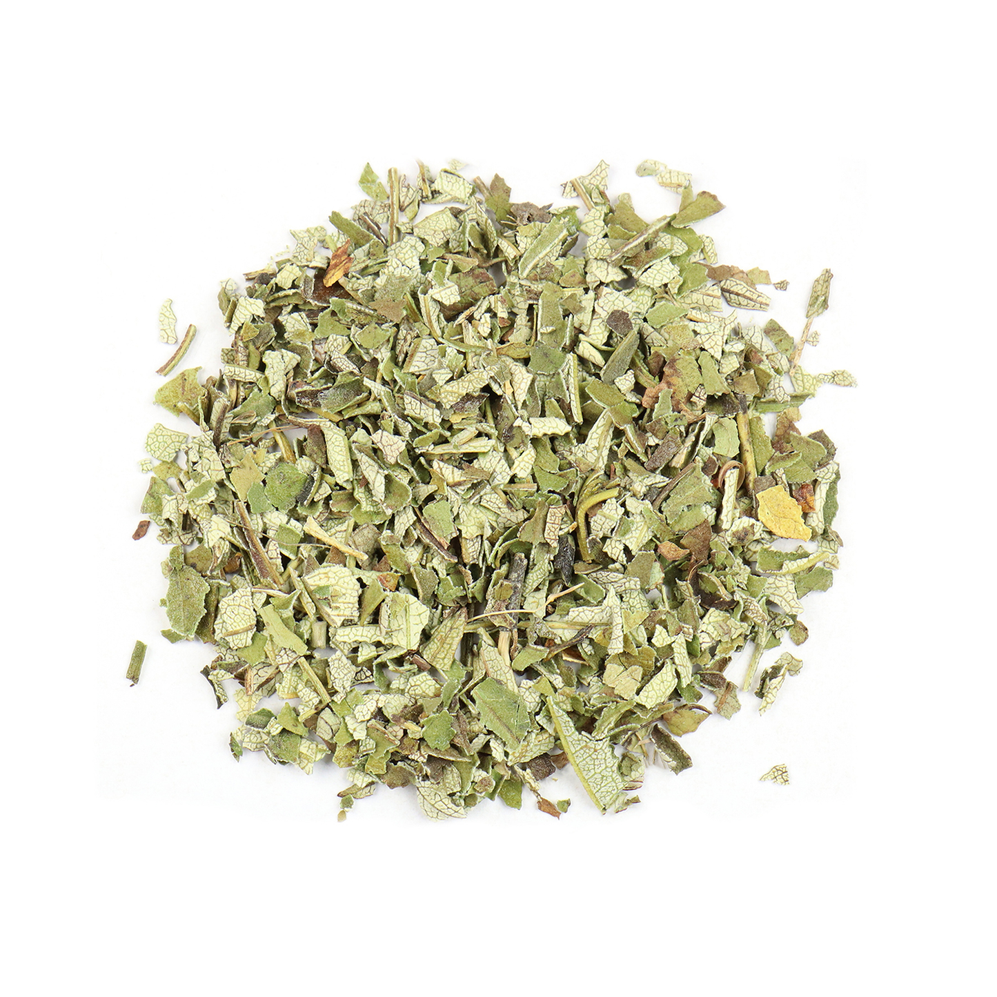 Yerba Santa Herb (Eriodictyon californicum)