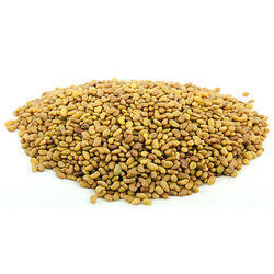 Alfalfa Sprout Powder