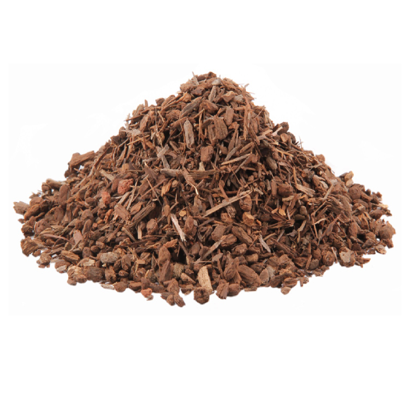 Black Walnut Bark (Juglans Nigra)