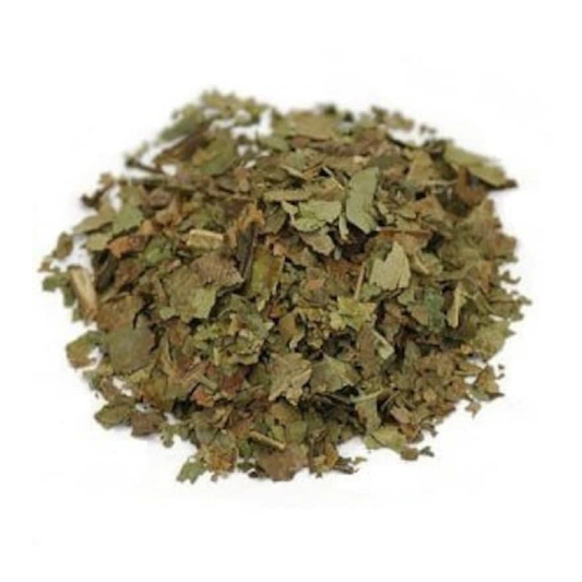 Black Walnut Leaf (Juglans Nigra)