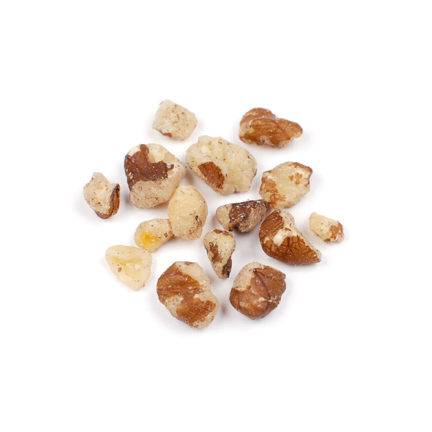 Black Walnut, Raw Pieces (Juglans nigra)