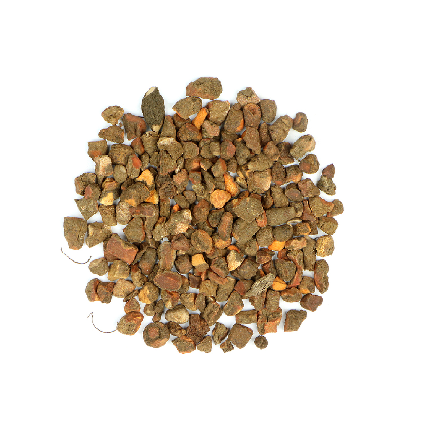 Bloodroot (Sanguinaria Canadensis)