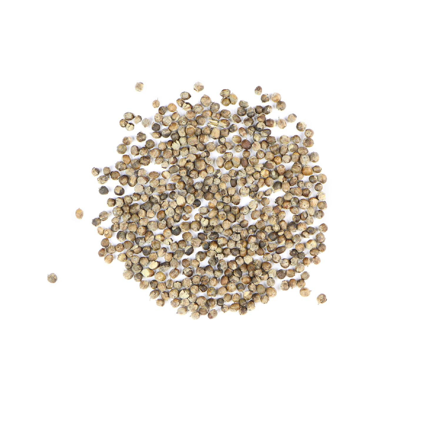 Chaste (Vitex) Berry (Vitexagnus castus)