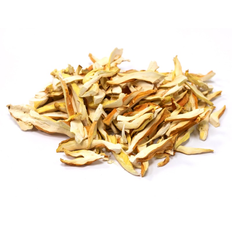 Chicken of the Woods Mushroom