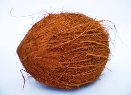 Coconut Whole, Shelled, Dry