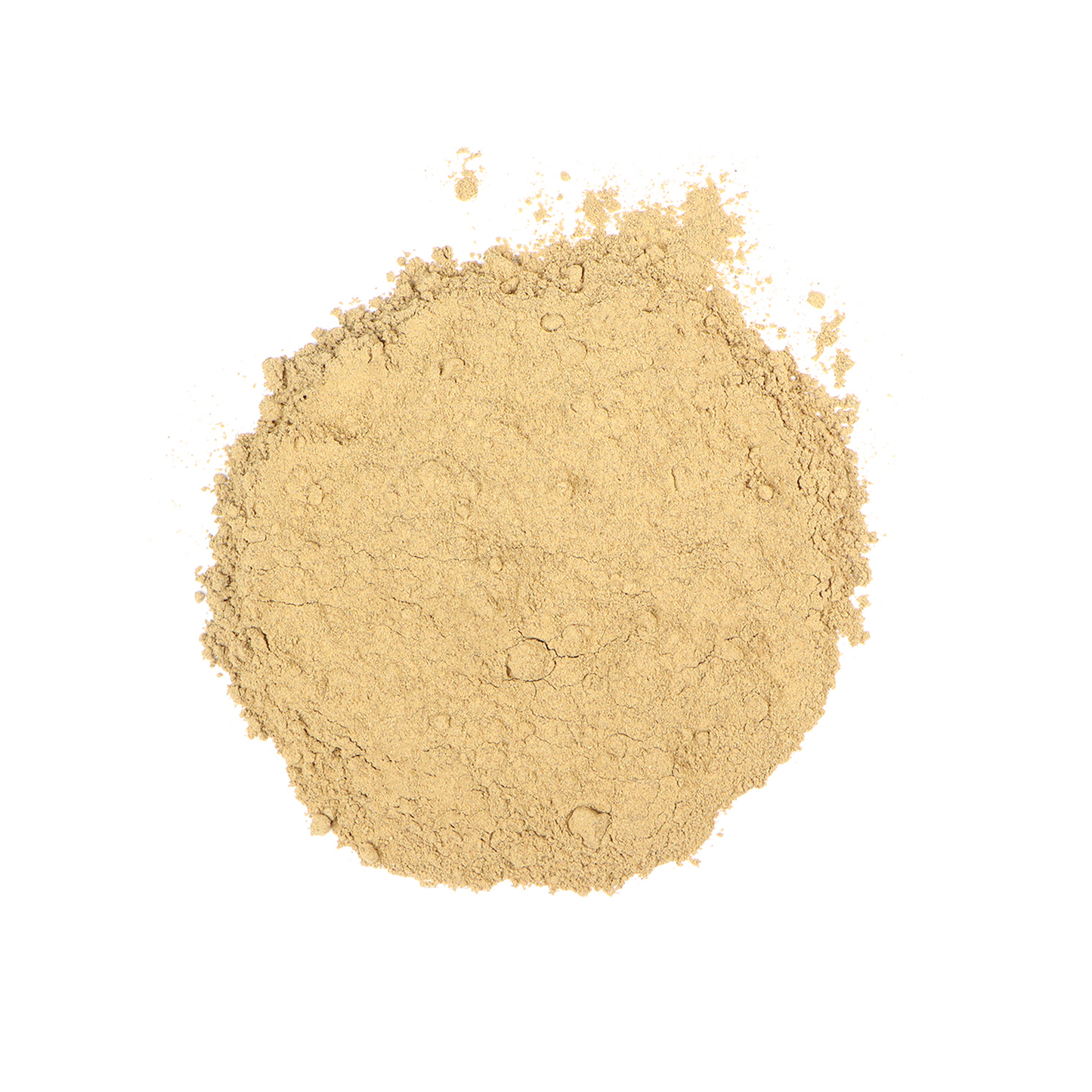 Dandelion Root Roasted Powder (Taraxacum officinale)