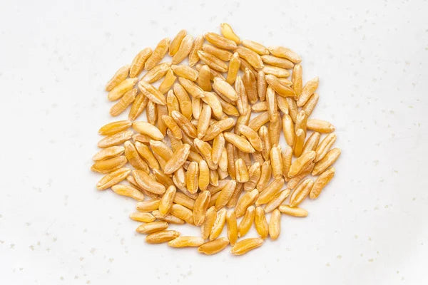 Turanicum Wheat, Organic