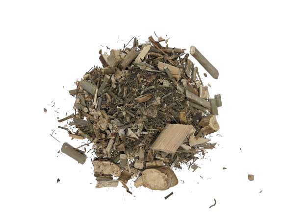 Fennel Herbs and Stalks (fennel fronds and stalks), Feoniculum officinalis