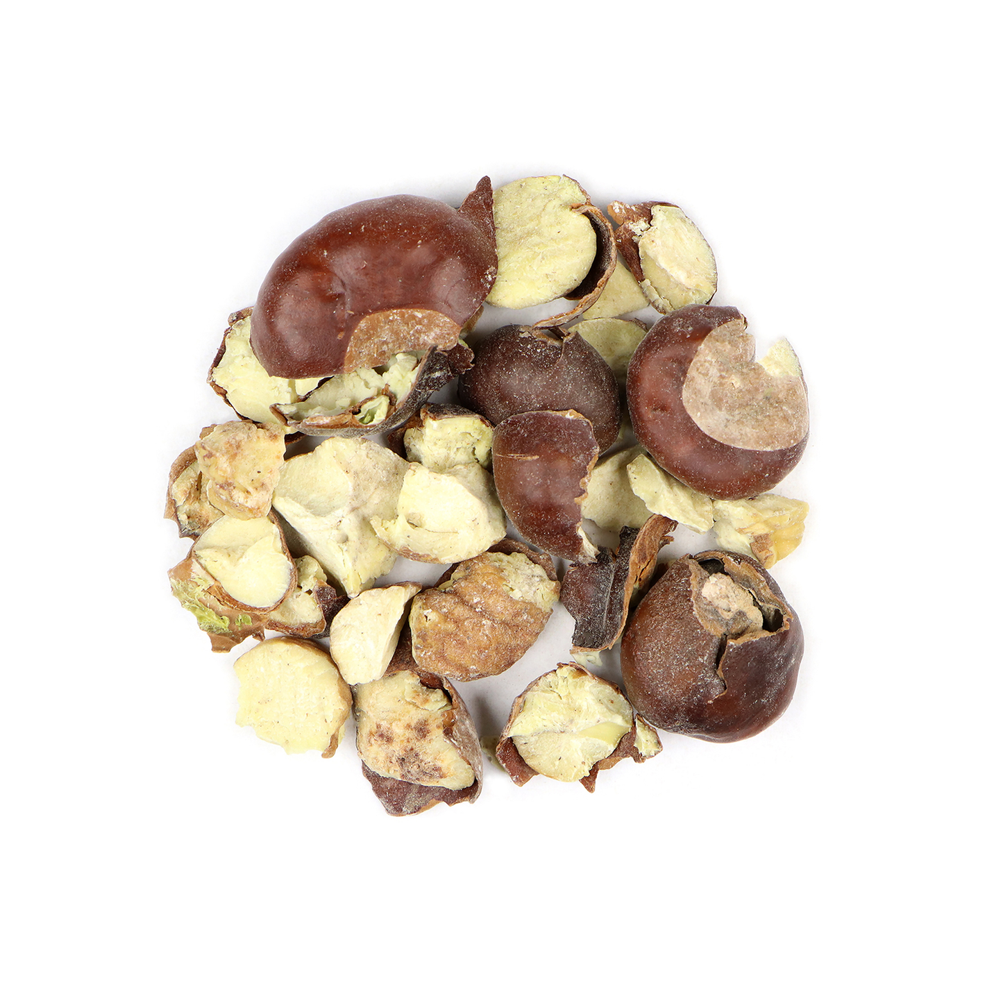 Horse Chestnuts (Aesculus Hippocastanum)