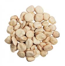 Cicerchia Bean (Lathyrus sativus)