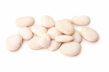 Judion Bean (Spanish Butter Bean)