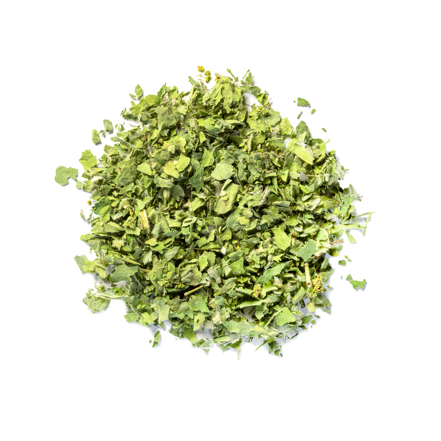 Lady's Mantle Herb (Alchemilla vulgaris)