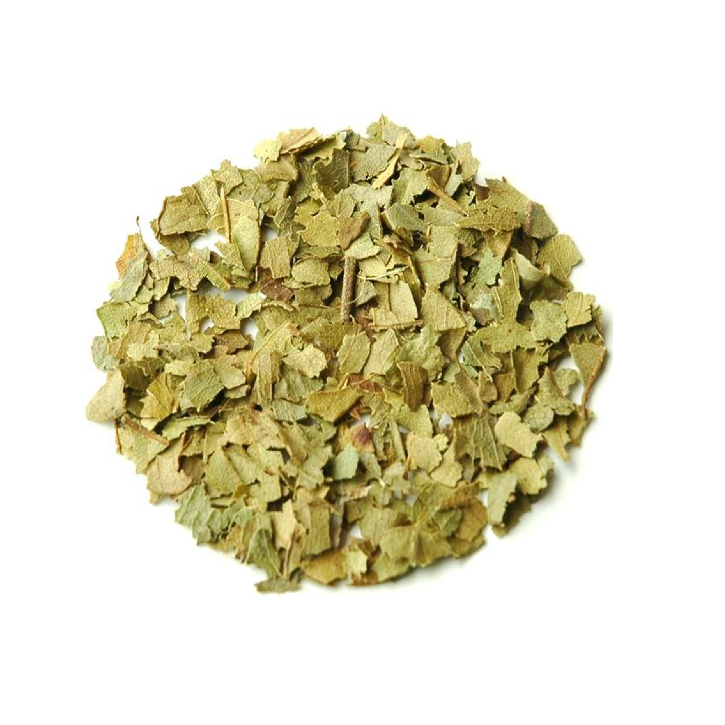 Lemon Myrtle Leaf (Backhousia citriodora)