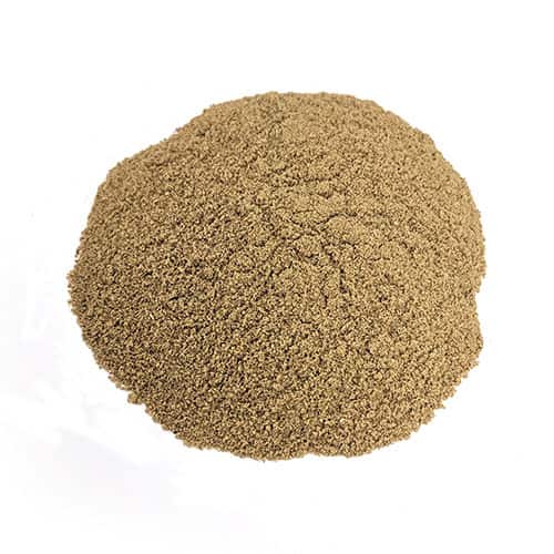 Green Papaya Powder (Carica papaya)