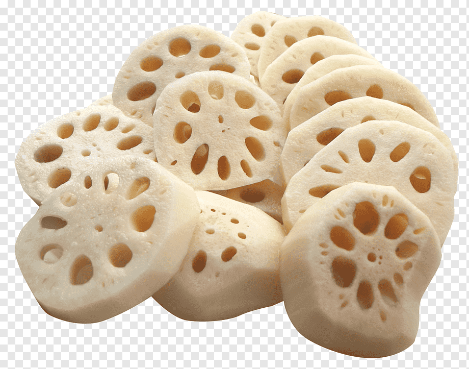 Lotus Roots (Nelumbo nucifera), Dried & Sliced