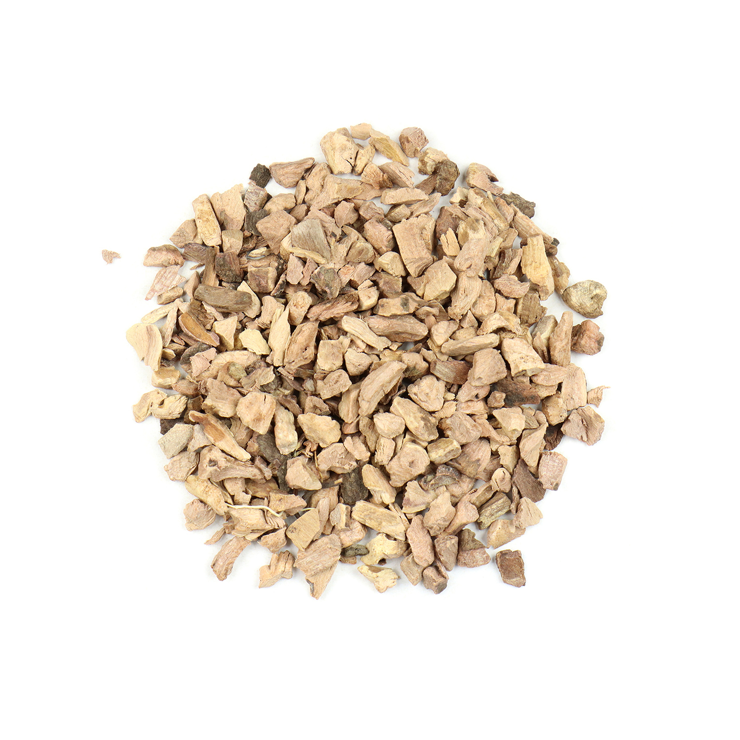 Red Root (Ceanothus americanus)