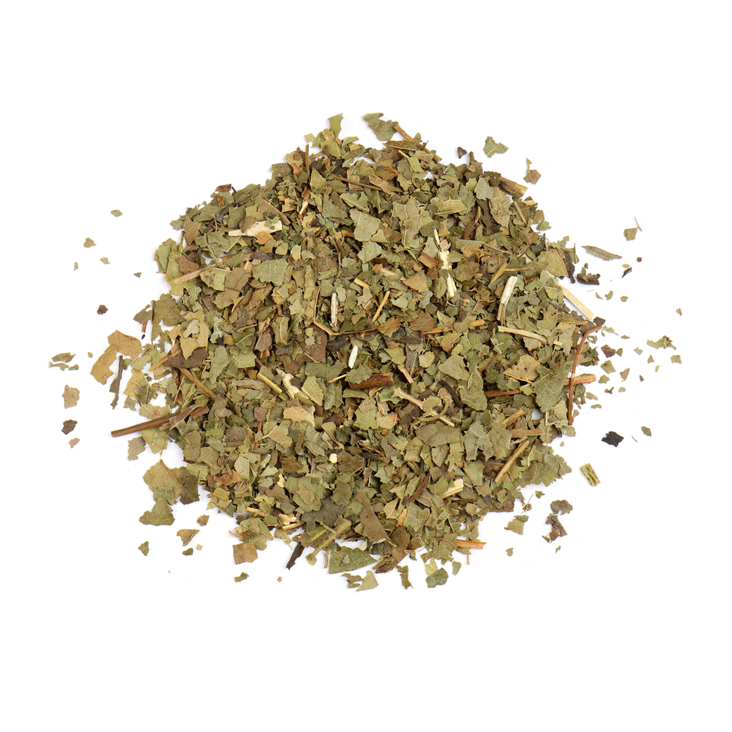 Sassafras Leaf (Sassafras albidum)