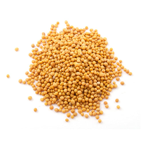 Mustard Seed, Yellow