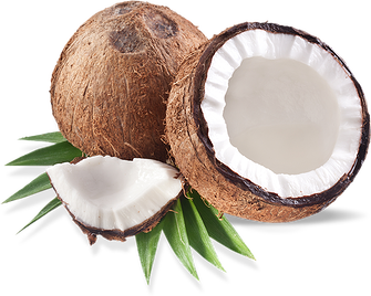 Coconut & Coconut products