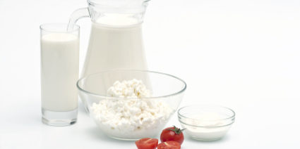Cheese, Yogurt, Kefir & Sourdough Starter