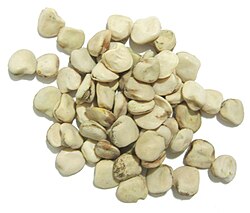Cicerchia Bean (Lathyrus sativus)