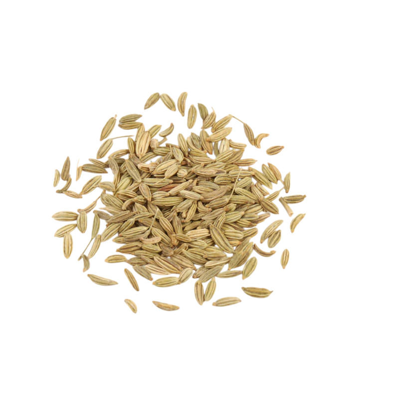 Fennel Seed