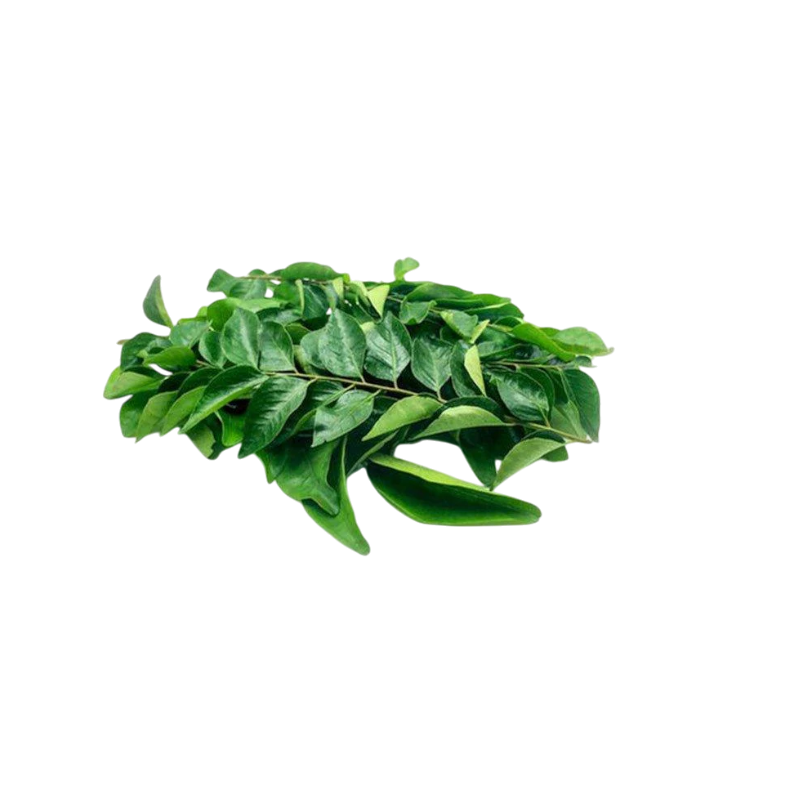 Fresh Curry Leaves