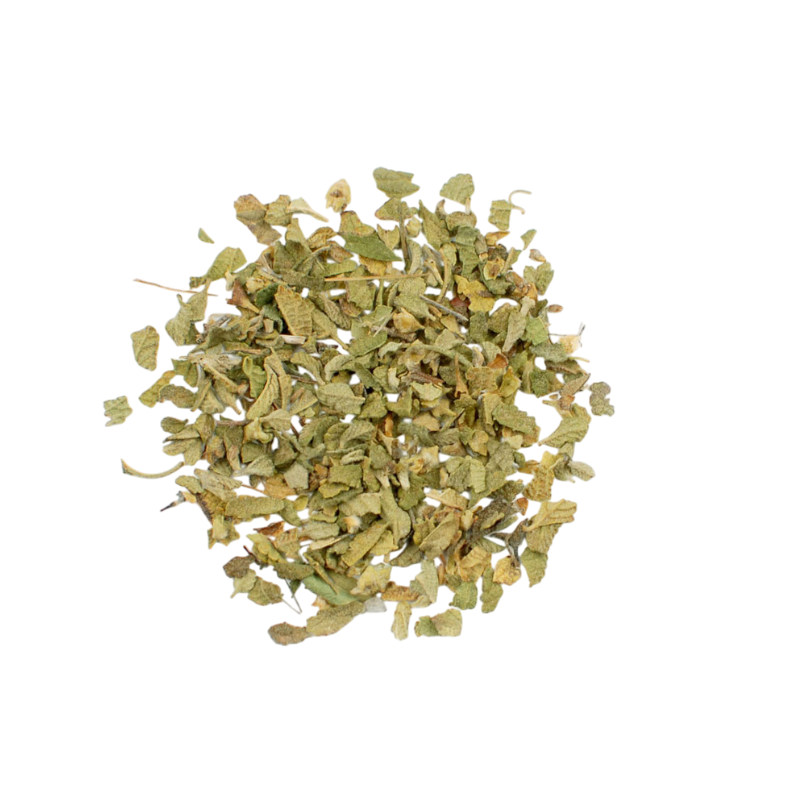 Oregano, Mexican (Lippia graveolens)
